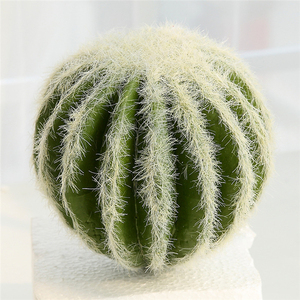 QSLHFH-1091 Nouveau Design Artificiel Plantes Décoratif <span class=keywords><strong>Cactus</strong></span> En Plastique Pour La Décoration De La Maison - Product Image 5