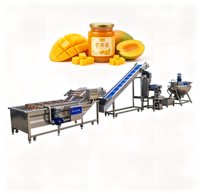 Productielijn voor granaatappeljam, laag-suiker recept, koken, mengen, vullen, sealen, apparatuur, food grade