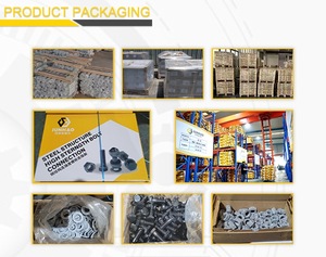 Directamente de fábrica Hebei Factory Cabeza grande de acero inoxidable 201 304 316 M10 <span class=keywords><strong>M12</strong></span> M14 Cabeza de copa <span class=keywords><strong>Perno</strong></span> de carro de cuello cuadrado corto - Product Image 5