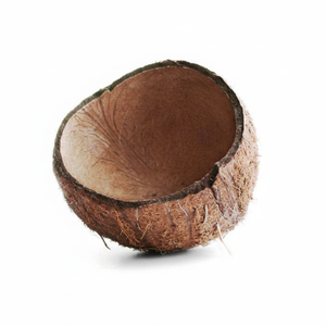 Meilleures ventes Coquille de noix de coco brute pour la décoration et la production de charbon de bois - Product Image 1