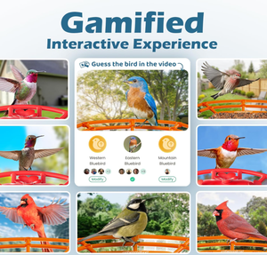 Nieuwste producten Slimme Vogelvoeder met Camera, 2K HD Vogelobservatiecamera AI Identificatie Weerbestendig Traagloze Kolibrie - Product Image 6