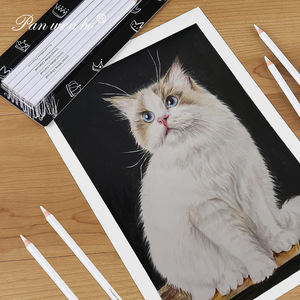 Panwenbo 6 cái bút chì phác thảo nổi bật bút chì than cứng màu trắng Bộ vẽ để vẽ phác thảo tô bóng pha trộn - Product Image 4