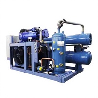 Unité de réfrigération à vis, refroidie par eau, 40 CV, avec condenseur de congélation et refroidissement par évaporation, compresseur 30p, de qualité commerciale