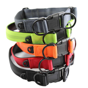 Colliers pour chien de compagnie, Logo personnalisé de luxe, en Nylon uni et vierge, réglable, Oem, 2021 unités - Product Image 1