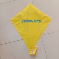 Cerf-volant diamant uni personnalisé pour enfants et adultes - Idéal pour les célébrations en extérieur (Thanksgiving, Ramadan, Diwali) - Étanche