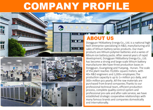 סוללת ליפו חצי מוצקה למטוסי UAV, סיטונאי, 3.7V 4.2V, 10Ah-90Ah, צפיפות אנרגיה גבוהה, 210Wh/kg-400Wh/kg - Product Image 3