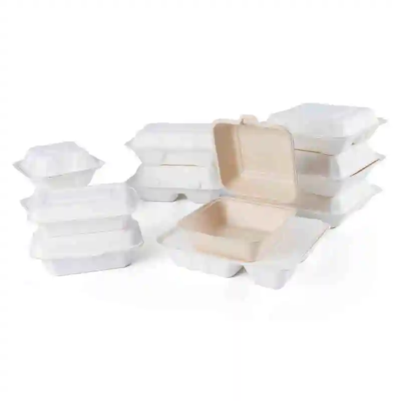 Bagazo a prueba de grasa Biodegradable Sandwich To Go Container Takeaway Food Packaging Paper Bento Lunch Box