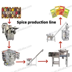 DZJX 100 Kg 500 Kg 1000 Kg Food Seasoning And Granulated Spices Production Line Spice Grinding Sieving Mixing Packaging Machine