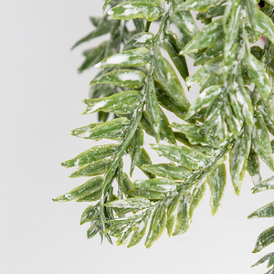 กระถางตั้งโชว์2021ดีไซน์ใหม่ปลูกต้นคริสต์มาสขนาดเล็ก - Product Image 2