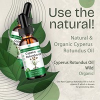 Huile Essentielle de Cyperus Rotundus 100% Pure de Qualité Cosmétique Naturelle 60ml pour Massage Corporel – Étiquette Personnalisée