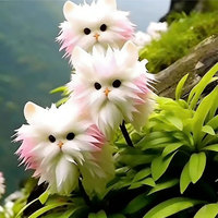 Orchidée chat de compagnie : le nouveau type de plantes en pot au design adorable et à l'odeur agréable et parfumée.