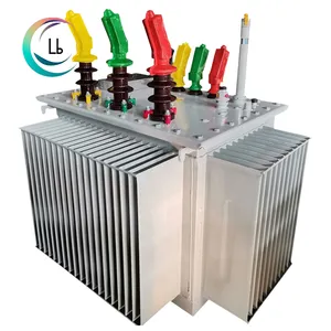 Three Phase Electrical Oil Immersed Power Distribution Transformer with Tap Changer Oil Tank Copper Winding 100KVA Transformer