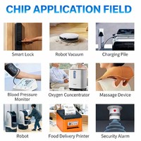 Chip de Voz OTP Serie NV080B, Fabricante OEM, Chip de Reproducción de Sonido para Concentrador de Oxígeno, Chip de Sonido Programable para Robots
