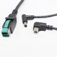 Kustom Pabrik 8Pin 12V daya USB jantan ke USB B jantan + DC5521 jantan 1 hingga 2 kabel pemisah
