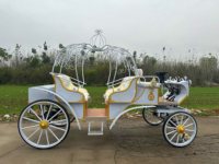 Chariot de balade électrique en fibre de verre, design carrosse citrouille, à conduite silencieuse, pour le transport de la mariée et les défilés d'inauguration de centres commerciaux