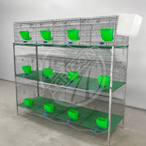 Cage à lapins 2026 en fil d'acier galvanisé à chaud, empilable sur 3 niveaux, type H, pour élevage commercial, avec mangeoire, abreuvoir et bac à fumier - Product Image 2