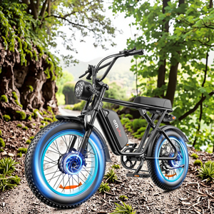 Vélo de montagne électrique le plus vendu en 2025, vélo électrique 2000w pour adultes, vélo électrique à gros pneus avec longue autonomie de batterie - Product Image 1