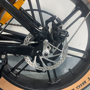 Ridstar Q20 20인치 48V 15Ah 리튬 배터리 E바이크 팻 타이어 시티 전기 산악 더트 바이크 성인용 전기 자전거 - Product Image 4