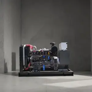 เครื่องกําเนิดไฟฟ้าดีเซล OEM Ricardo 50 KW 60 KVA พร้อมตัวควบคุมด้วยตนเองเครื่องกําเนิดไฟฟ้าเครื่องยนต์ดีเซล 1500 RPM ในราคาที่แข่งขัน