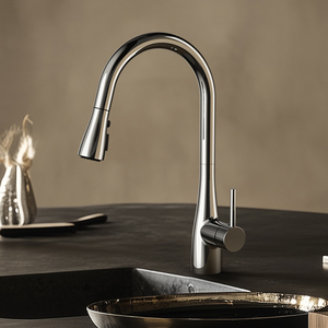 Кухонный смеситель с водопадом - Product Image 4
