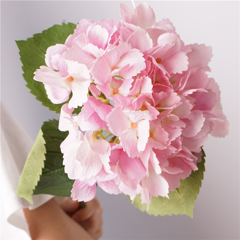 Toucher hydratant magique océan hortensia-rose-violet
