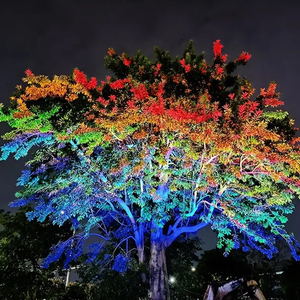 RGBW ha condotto il proiettore dell'<span class=keywords><strong>albero</strong></span> esterno paesaggio parete di lavaggio per la costruzione di grandi alberi da giardino Cast decorazione di illuminazione - Product Image 4