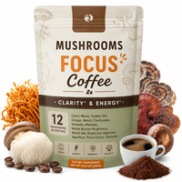 Poudre de café aux champignons Lion's Mane Qinshantang, mélange instantané biologique, Reishi, Cordyceps, stimulant cérébral, concentration accrue, OEM, étiquette privée