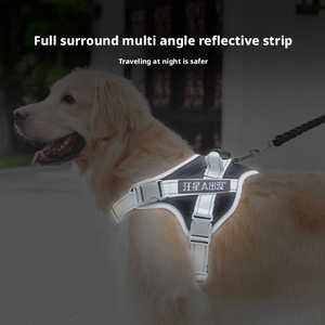 Nouvel Arrivage Harnais pour <span class=keywords><strong>Chien</strong></span> de Petite Taille en Nylon Personnalisé, Anti-Traction, Rembourré, Fermeture à Bouton, Écologique - Product Image 4