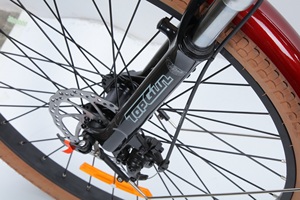 Scooter de marque, Vélo tout-terrain, Vélo de montagne, Vélo électrique, Vélo Cruiser, Vélo Cruiser PAS - Product Image 2
