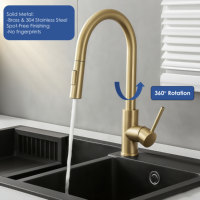 Meilleure vente mitigeur robinet de cuisine à tirette en laiton Construction or robinet de cuisine pour évier de cuisine avec pulvérisateur