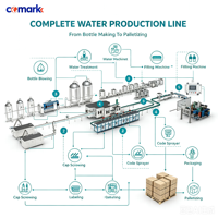 Usine d'embouteillage d'eau entièrement automatique, projet complet, usine industrielle de purification et d'embouteillage d'eau potable pure par osmose inverse