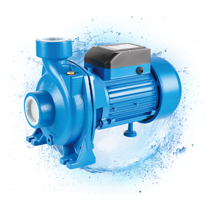 Pompe à eau électrique 1 CV DTM-18 pour le nettoyage de la maison et du jardin, centrifuge à simple étage, surpression, longueur de câble personnalisée - Product Image 1