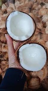 COCO FRESCO MADURO DE VIETNAM DE ALTA CALIDAD Y PRECIO COMPETITIVO - Product Image 6