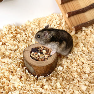 Petit bol pour animaux de compagnie, bol d'alimentation rond en bois <span class=keywords><strong>dur</strong></span> et résistant pour <span class=keywords><strong>hamster</strong></span>, petaugeoire - Product Image 4