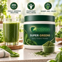 Poudre de Smoothie Vert pour la Défense Immunitaire et le Renforcement du Système Immunitaire – Idéal pour les Vegans