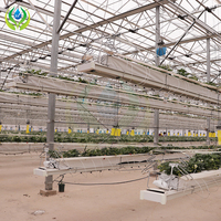 MYXL Serre de fraises sans sol Système hydroponique avec irrigation