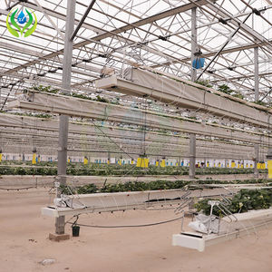 Myxl Grondloze Aardbeienkas Hydrocultuur Systeem Met Irrigatie - Product Image 6