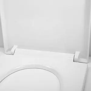 Commercial Decorative Auto Oem Electric Flush Smart Toilet Bowl Seat Cover Lid