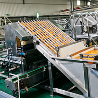 ENAK Automatische Apparatuur voor het Conserveren van Peren, Sinaasappels, Ananas en Perziken, Inclusief Verwerkingslijn