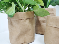 Sac en papier kraft lavable à prix avantageux pour la plantation de fleurs à domicile