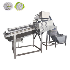 Prawn Shrimp Shell Separating Machine Fresh Fish Prawn Shrimp Cleaning Grading Machine Prawn Size Grading Machine - Product Image 4