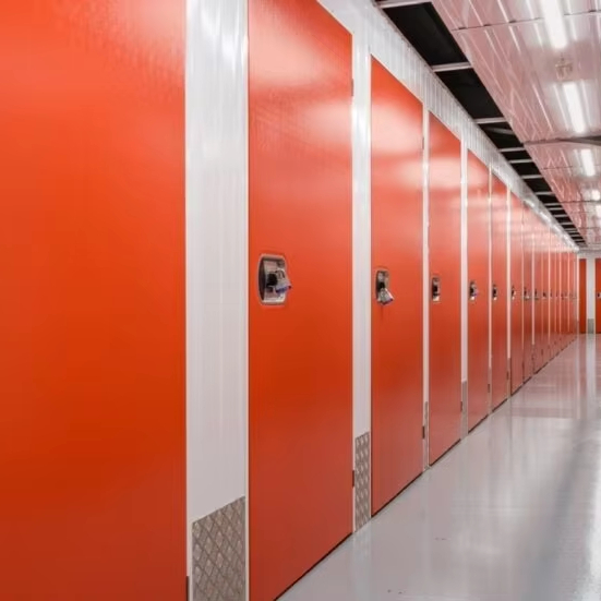 Cheap Cost Galvanized Steel Self-Storage Locker Customized Design Self Storage Facilities for Sale