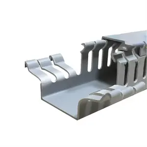 Aangepaste Duurzame Plastic Open Sleuf Big Size Twee Compartement Bedrading Duct Kabel Trunking