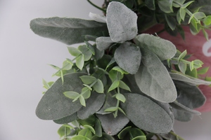 Bagues <span class=keywords><strong>d</strong></span>écoratives en feuilles <span class=keywords><strong>d</strong></span>'eucalyptus, <span class=keywords><strong>pour</strong></span> fête, <span class=keywords><strong>porte</strong></span> <span class=keywords><strong>d</strong></span>'<span class=keywords><strong>entrée</strong></span>, <span class=keywords><strong>pour</strong></span> fenêtre de Ramadan, <span class=keywords><strong>pour</strong></span> <span class=keywords><strong>d</strong></span>écoration intérieure - Product Image 4