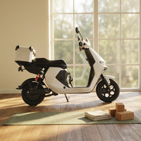 Trottinette Électrique Urbaine pour Adultes, 1000W 60V, avec Assistance au Pédalage, Sièges Spacieux, Vitesse Rapide, Nouvelle Génération, Prix Abordable, Fabriquée en Chine