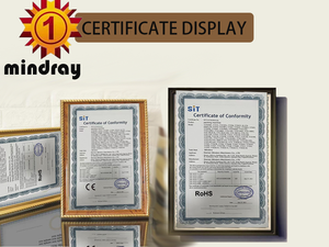 เครื่องบรรจุอัตโนมัติวางซัลซ่ามะเขือเทศมันฝรั่ง - Product Image 6