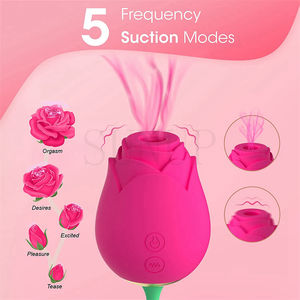Kostenlose individuelle Schachtel - Rose Klitoris saugen mit Ei doppelmotor erweiterte Rose Vibration Nippel Stimulator Massagegerät sauggerät Vibrator - Product Image 5
