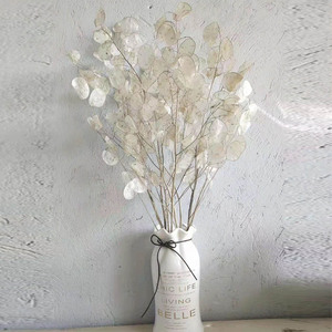 Vente en gros d'usine, bouquet préservé, véritable <span class=keywords><strong>lunaria</strong></span> <span class=keywords><strong>annua</strong></span> naturel, pour la décoration florale, cadeau de luxe - Product Image 3