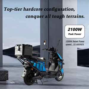 Moto électrique PACIFIC 1200W 60V 60km/h avec frein à disque hydraulique, homologuée CE DOT, pour adultes, usage urbain et routier à grande vitesse - Product Image 2