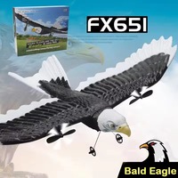 Jouets en mousse transfrontaliers FX651 Avion RC à aile fixe Aigle à tête blanche Planeur Aigle, Jouets et cadeaux très demandés pour enfants